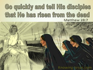 Matthew 28:7